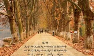 上学路上的景色三年级