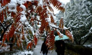 中国多地迎来降雪天气