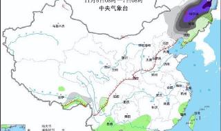 东北这次强降雪下到发紫