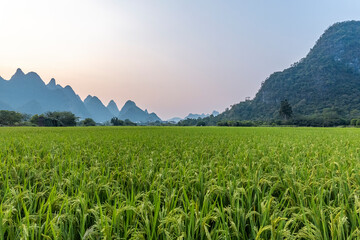 辅助神器“微乐麻将万能开挂器免费”附开挂脚本详细步骤(透视)